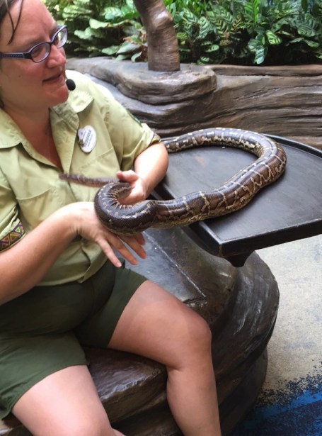 Animal Kingdom Animal Encounters - Python