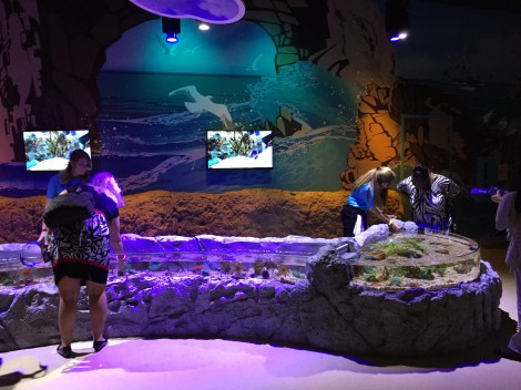 Sea Life Orlando Touch Pools