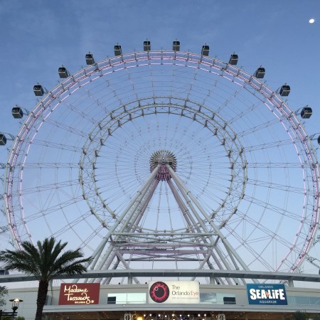 The Orlando Eye