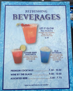 Disney's Frozen Summer Fun