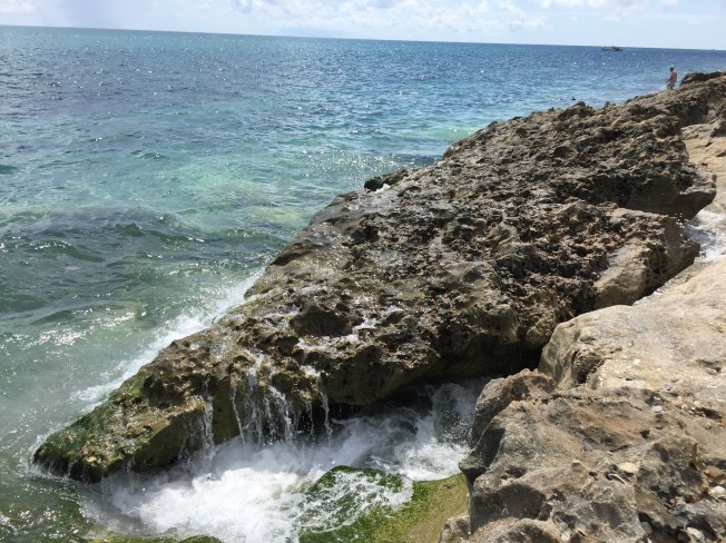 Blowing Rocks Preserve