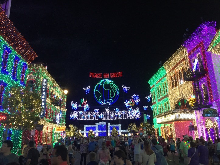 The Osborne Spectacle of Dancing Lights, Disney World