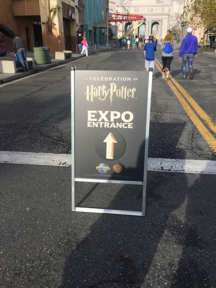 A Guide to the Celebration of Harry Potter