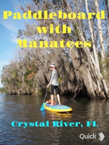 Paddleboard with Manatees at Three Sister Springs in Crystal River, FL