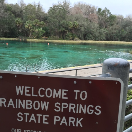 Waterfalls in Florida: Rainbow Springs State Park