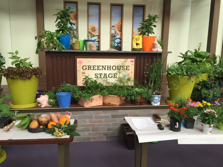 How to get freebies at the Epcot Flower and Garden Festival