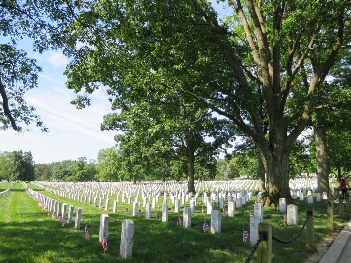 My Travel Journal - Washington D.C.