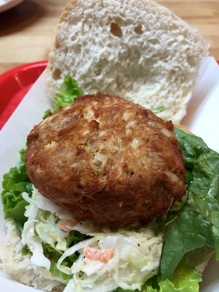 My Travel Journal - Washington D.C.