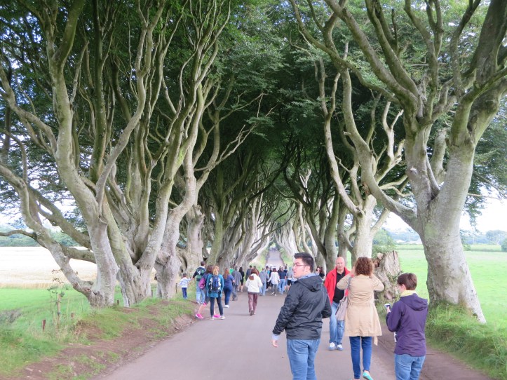 Dark Hedges Ireland