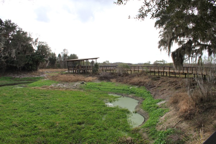 Paynes Prairie State Park