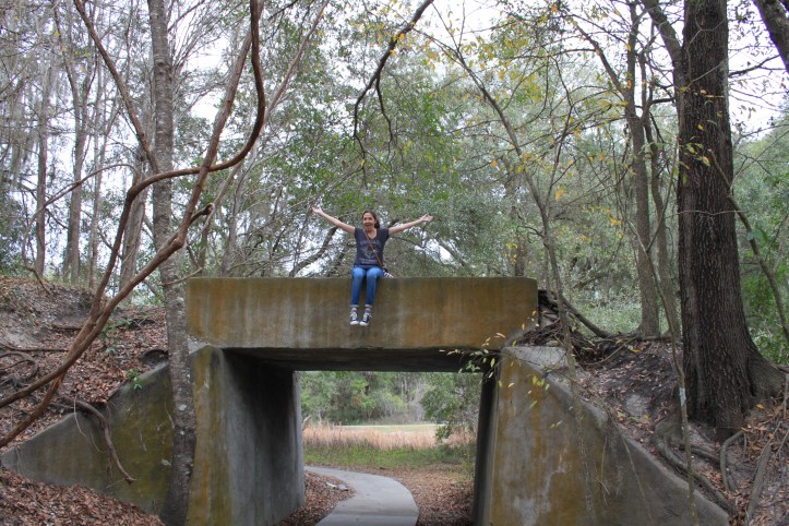 Paynes Prairie State Park