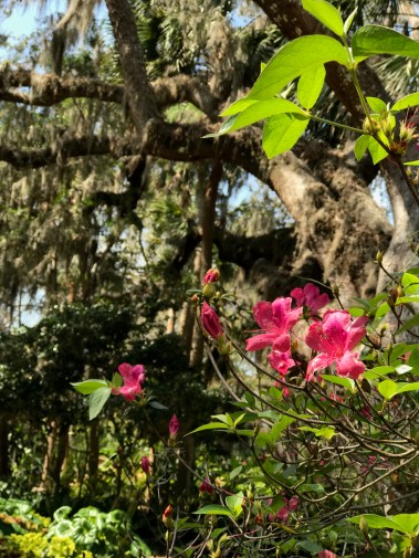 Washington Oaks State Park