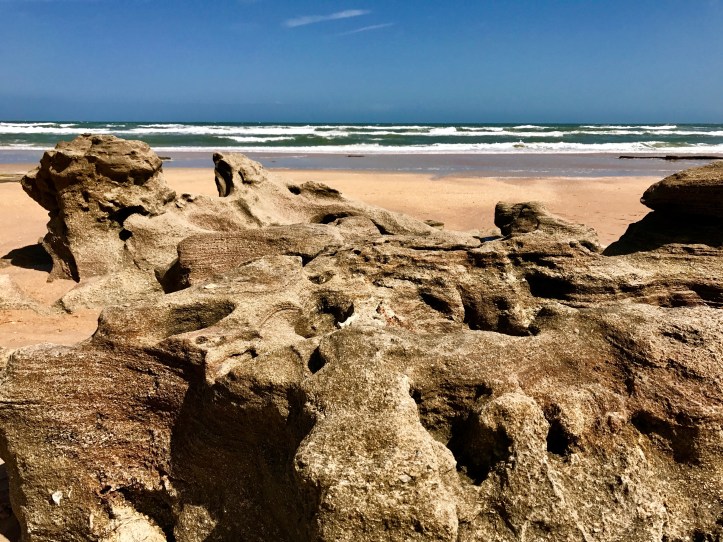 Washington Oaks State Park