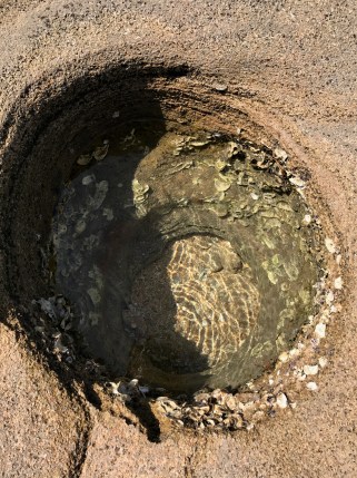 Washington Oaks State Park