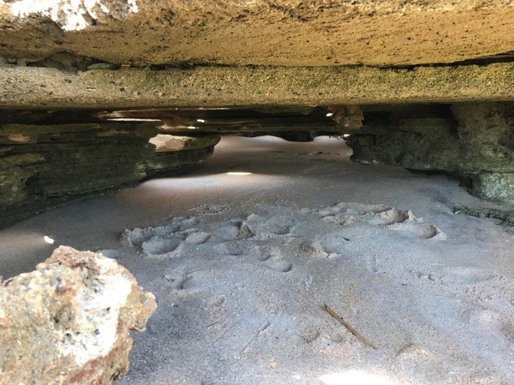 Washington Oaks State Park