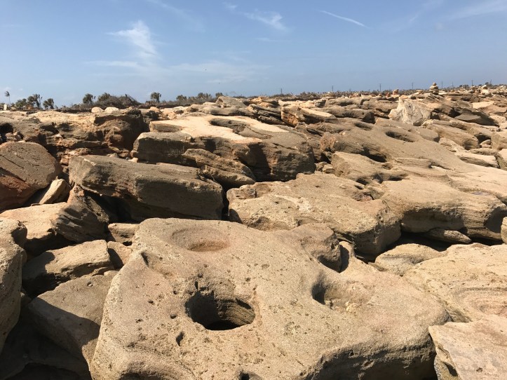 Washington Oaks State Park