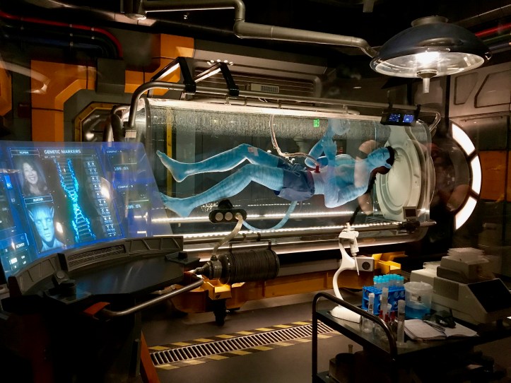 Pandora: The World of Avatar at Disney's Animal Kingdom