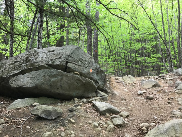 Trying to hike Mount Major