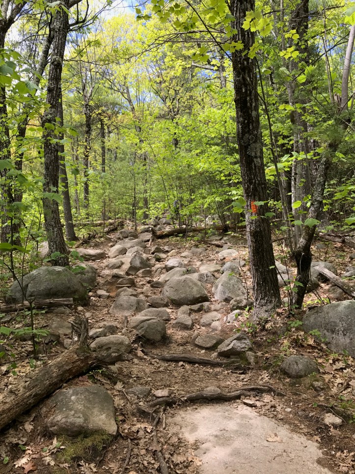 Trying to hike Mount Major