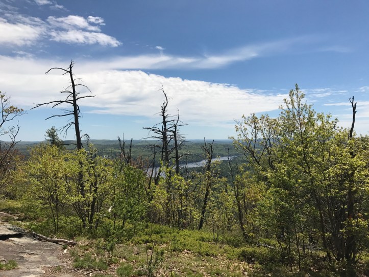Trying to hike Mount Major