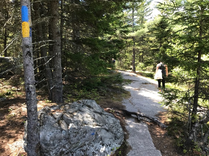 Trying to hike Mount Major