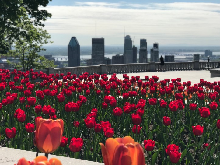 5 Things You Can't Miss In Montreal